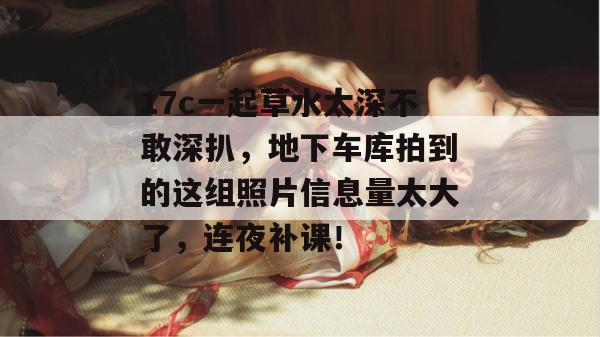 17c一起草水太深不敢深扒，地下车库拍到的这组照片信息量太大了，连夜补课！